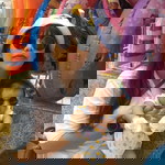 Aui Artima profile icon