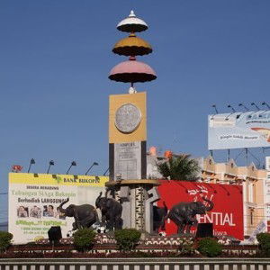 vidi indrawan profile icon