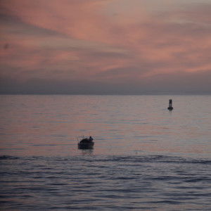 Vincent profile icon