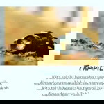 Ilma Achsanun Nadia profile icon