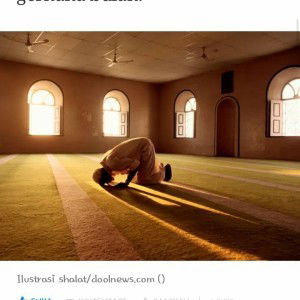 Erna Naufal profile icon