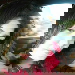 หทัยชนก สุสานนท์ profile icon