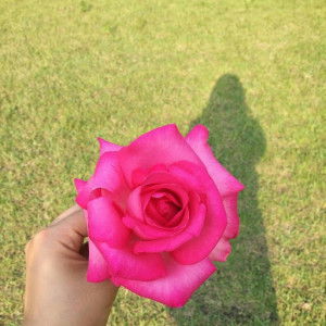 restiana profile icon