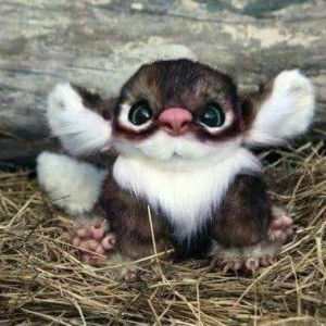 Michaelina Andrew profile icon