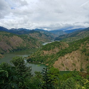 anonymous profile icon