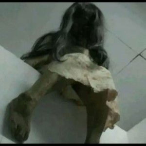 ไพศาล สมบุญ profile icon