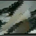 ไพศาล สมบุญ profile icon