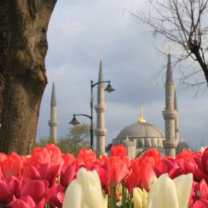 fakhita profile icon