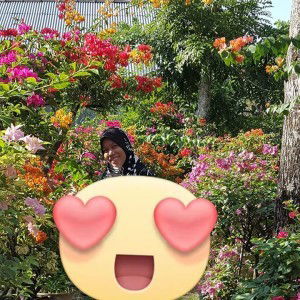 Nieda Sidek profile icon