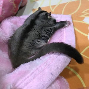 จอมนาง โอยั๊วะ profile icon