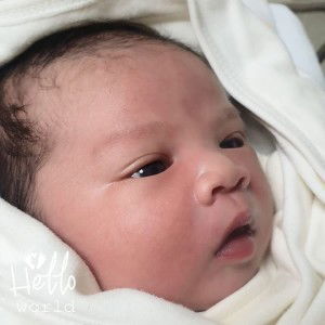 Stefann Aekanovic profile icon