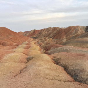 Pudding Zhang profile icon