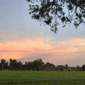 Maria Sheila A. Genove profile icon