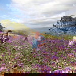 Kan Kan profile icon