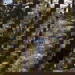 Renz Yolangco profile icon