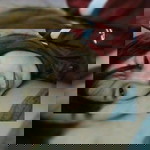 แชทสี ชมพู profile icon