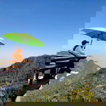 Sine Yamanishi profile icon