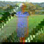 Aschara Punnamat profile icon