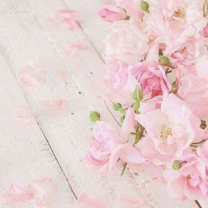 Nur Haziqah Mahirah profile icon