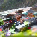 Thị Nở profile icon