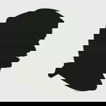 Dhiana Prasetya profile icon