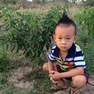 Bích Len profile icon