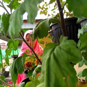 Alhamda Khairunnisa Ulfah profile icon