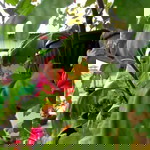 Alhamda Khairunnisa Ulfah profile icon