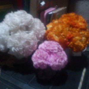 Tri Handayani profile icon