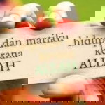 maulana nur profile icon