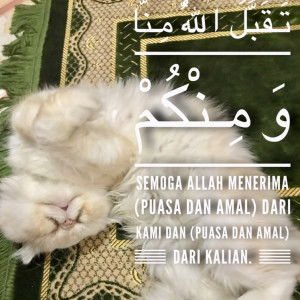 Little star profile icon