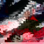 May'sandi profile icon