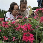 Nhung Lê profile icon