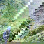 Silvia Davina Andriani profile icon