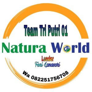 Feni Lanasari profile icon