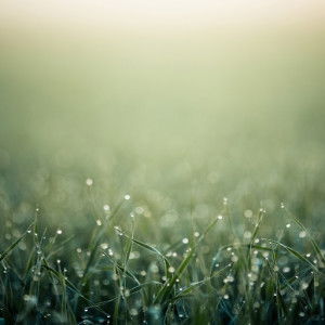 Fifa Saihah profile icon