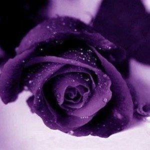 Reeva Iffah profile icon