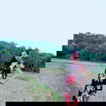 Je Re May profile icon