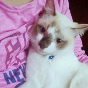 Azlyn Natasya profile icon