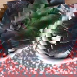 Bảo Ngọc profile icon