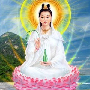 Sarah Tran profile icon