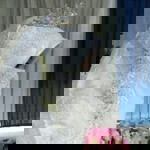 agustina meilly profile icon