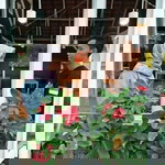 Tika Mustika Sari profile icon