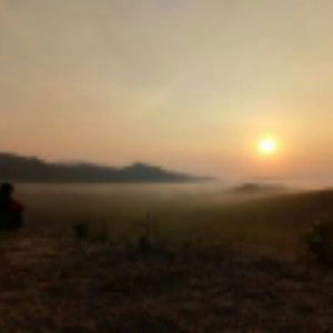 นิสา profile icon