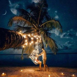 Nguyệt Nguyệt profile icon