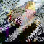 Fistia Suwandi profile icon