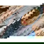 Tatigh Tiyans profile icon