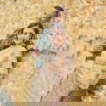 จูน น. profile icon