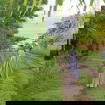 Bunga Dwilika profile icon