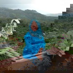 Cici Sari profile icon